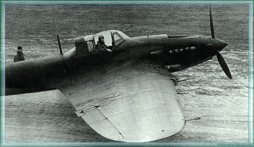 Одноместный Ил-2