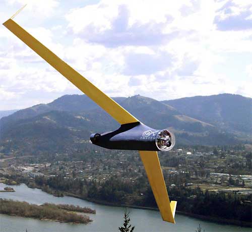 ScanEagle в полете Беспилотный летательный аппарат США