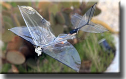 Butterfly UAV