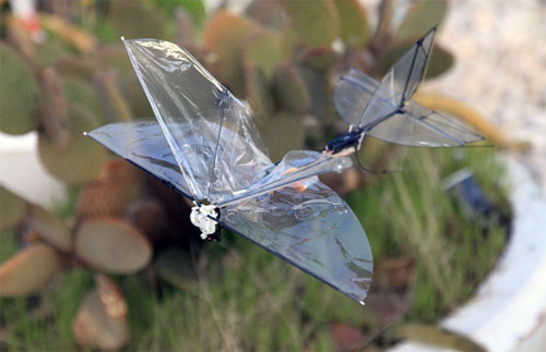 IAI Butterfly UAV