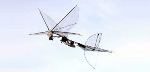 IAI Butterfly UAV