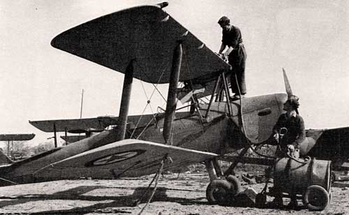 Самолет Tiger Moth