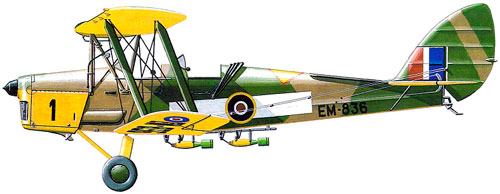 Tiger Moth II