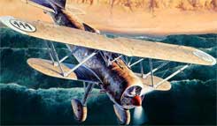 Fiat CR.42 Falco Fiat CR.42 Falco