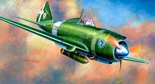 Реджиане Re.2002 Ариете II Итальянский самолет