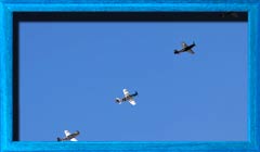 An A-36 Apache leads a line of P-51 Mustangs at the 2010 "Planes of Fame" Air Show Самолеты разных модификаций